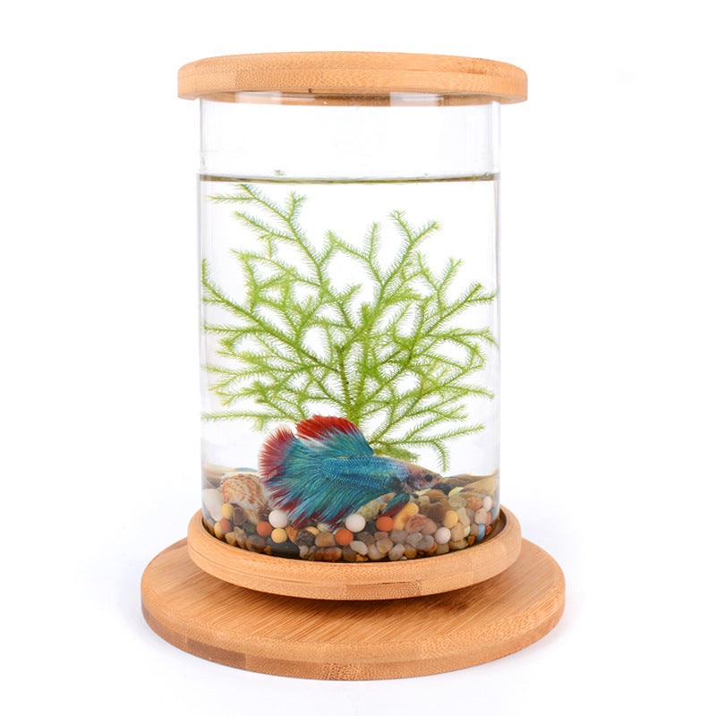 Mini Glass Aquarium with Bamboo Base Decorative Fish Tank for Small Offices