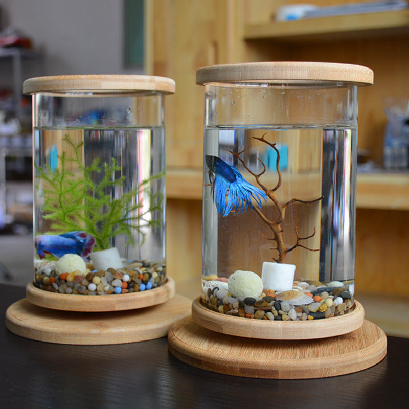 Mini Glass Aquarium with Bamboo Base Decorative Fish Tank for Small Offices