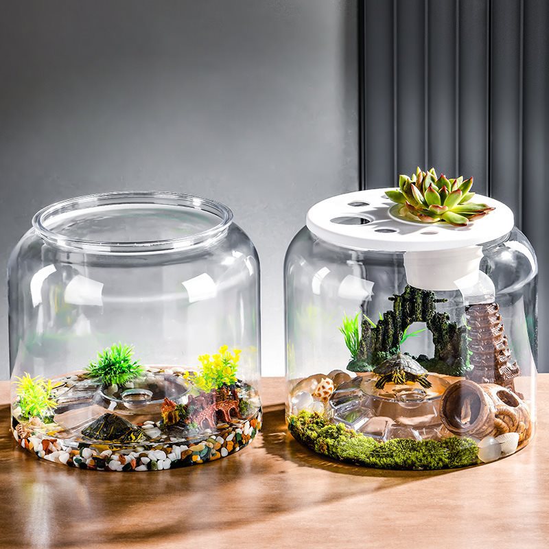 Transparent Plastic Desktop Aquarium Ecological Fish Tank for Landscaping & Feeding Display