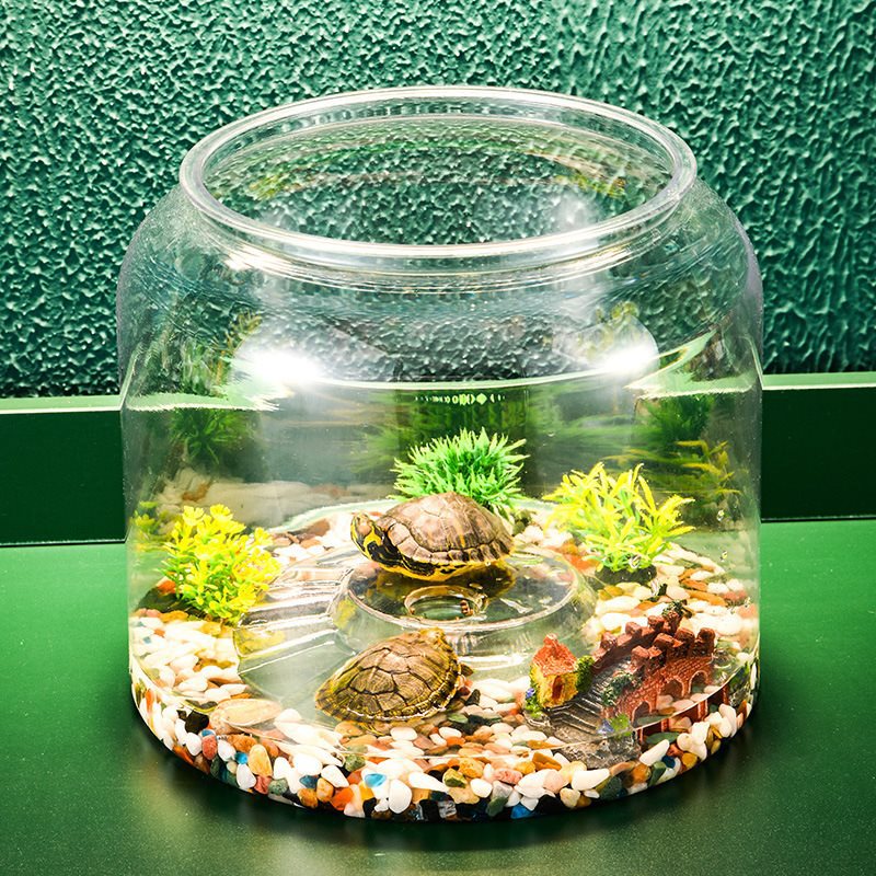 Transparent Plastic Desktop Aquarium Ecological Fish Tank for Landscaping & Feeding Display