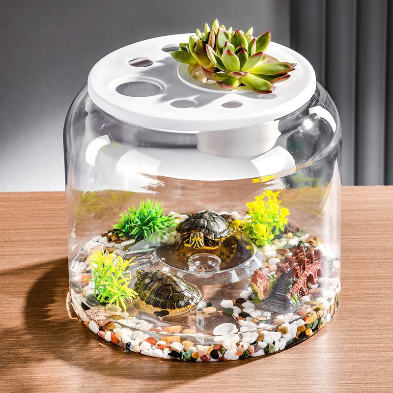 Transparent Plastic Desktop Aquarium Ecological Fish Tank for Landscaping & Feeding Display