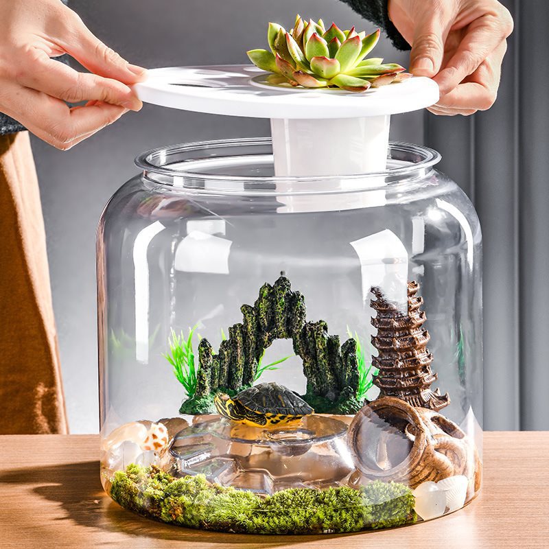 Transparent Plastic Desktop Aquarium Ecological Fish Tank for Landscaping & Feeding Display
